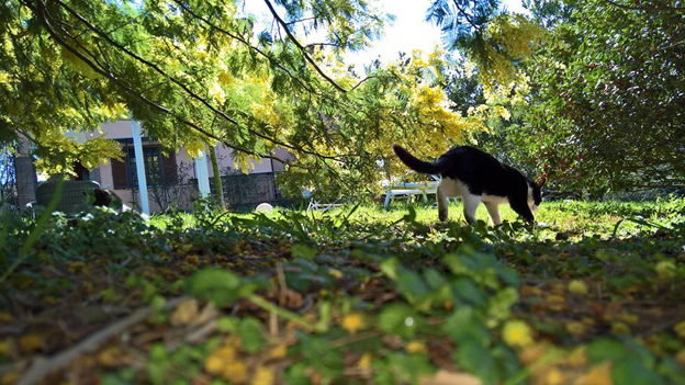 pj nel giardino fiorito del bed and breakfast